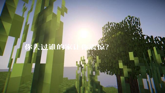 你去过谁的家让你震惊？